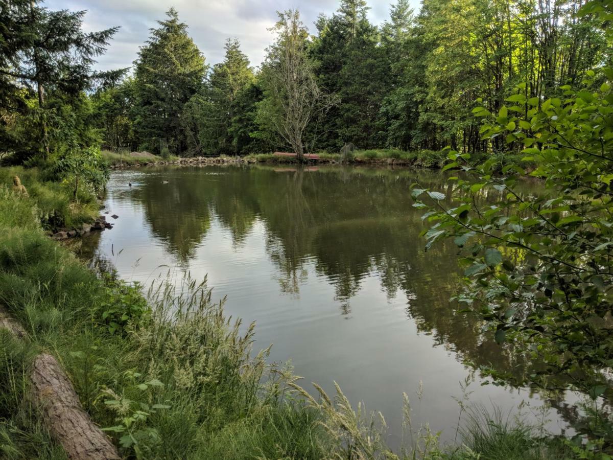 הוילה Buxton Healing Ponds Farm מראה חיצוני תמונה